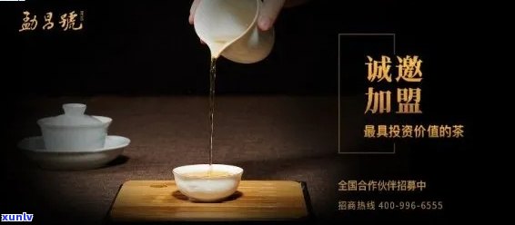 老班章茶叶加盟：一站式创业平台，优质普洱茶项目，只需万元起！