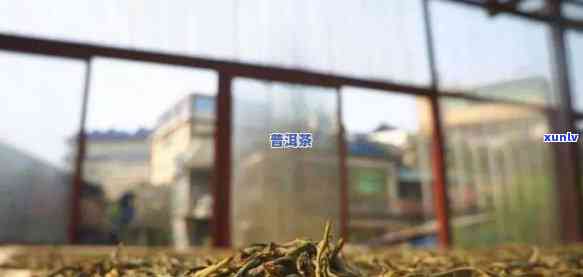 老班章茶叶生产厂家：旗下优质普洱茶生产厂与公司