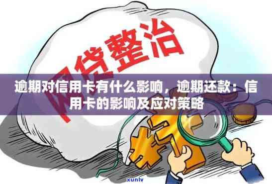 信用卡逾期还款怎么办？掌握这5个应对措，避免信用受损！