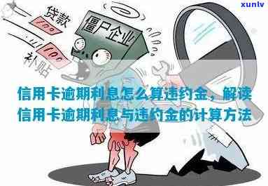 信用卡逾期利息计算详解：如何正确理解和避免违约金