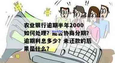 农业银行信用卡2000逾期：如何处理？后果是什么？解决办法和注意事项一览