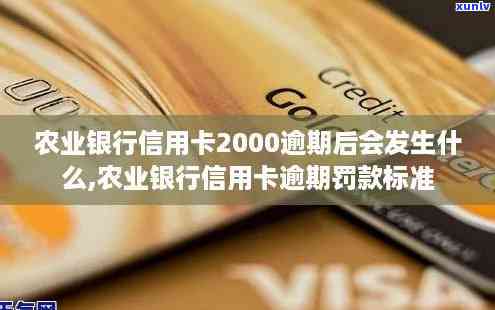 农业银行信用卡2000逾期：如何处理？后果是什么？解决办法和注意事项一览