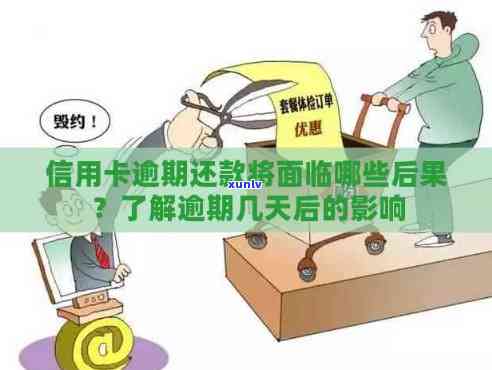 民法典欠信用卡：逾期本金、追诉期及后果全解析