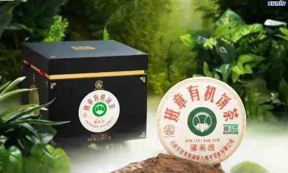 老班章加盟条件及费用详解：优质茶叶创业项目，一站式服务平台直达全网招商