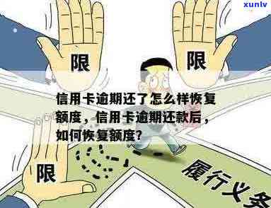 全面了解老种翡翠吊坠价格：选购指南、品质鉴别与市场趋势