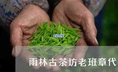 老班章雨林古树茶叶加盟费多少钱？广州茶叶加盟 *** 