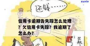 逾期信用卡额度丢失，如何处理？