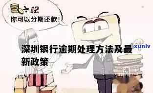 深圳之窗：新网银行信用卡逾期如何处理？解决 *** 一览