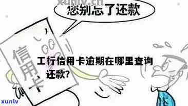 工行信用卡消除逾期查询