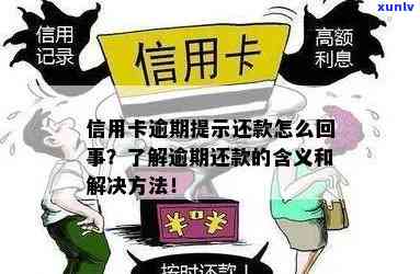 信用卡逾期还款流程暂缓：什么意思？如何申请期还款及执行步骤