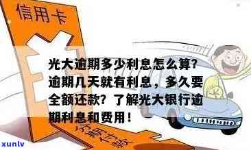 信用卡逾期问题全面解决指南：找到客户解决方案、预防措和信用修复策略