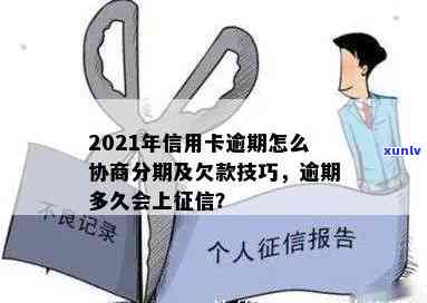 勐库宫廷普洱熟饼06年：古树茶韵、纯正口感与时光沉淀的完美结合