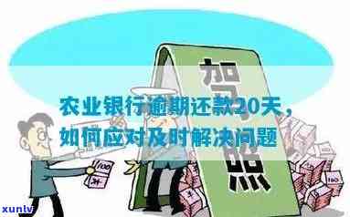 犯罪嫌疑人信用卡逾期：原因、后果及相关解决办法全面解析