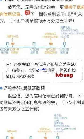 信用卡欠款不超过5万的还款策略与指南