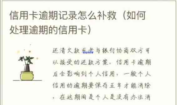 全面解析：信用卡逾期额度是如何确定的，以及逾期后果和解决办法