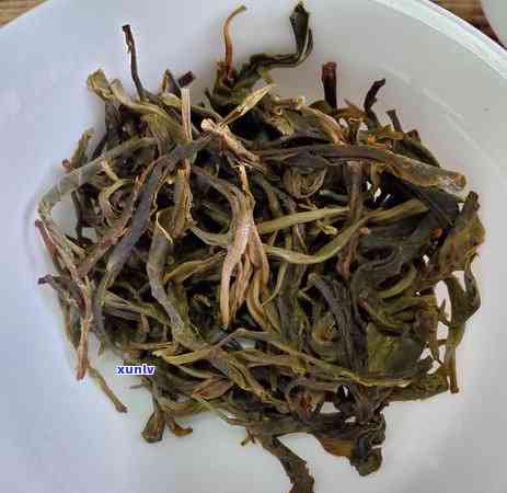 冰岛茶和老班章茶：熟茶的分类与区别