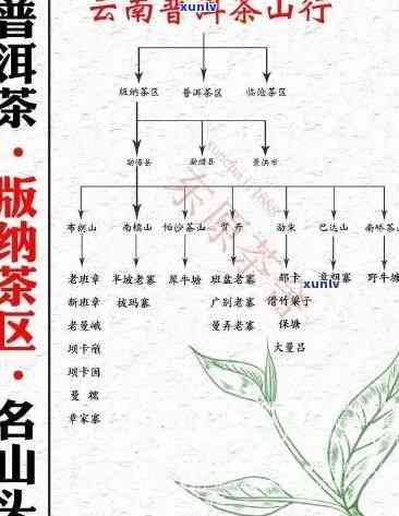 班章茶的原产地及其所属地区的详细信息