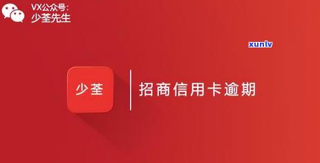 2022年信用卡逾期全面指南：处理流程、影响与解决方案一文搞定！