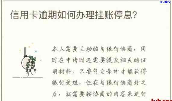 信用卡逾期1年停息挂账：解决策略、影响与应对 *** 全面解析