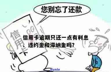 信用卡逾期还款后果全解析：逾期、没还款、滞纳金等影响一网打尽！