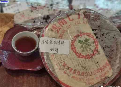 7542老茶：品种特点、品质评价与冲泡技巧，一文详解，助你成为老茶专家