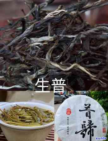 如何选择普洱熟茶厂家？哪个的熟茶口感与品质更佳？