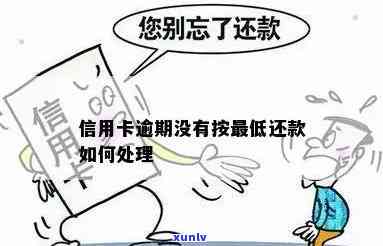 当信用卡逾期无法还更低还款该怎么处理