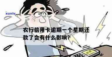 农行信用卡逾期还款一天会产生哪些影响及如何解决？