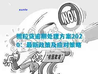 2020年个人信贷管理新规定：逾期还款的影响与应对策略