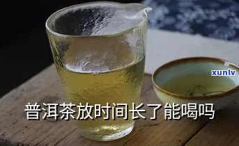 普洱可以长时间泡吗