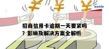 信用卡逾期50次：原因、影响及解决办法一文详解