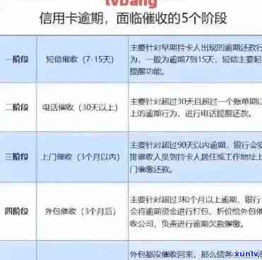 单位信用卡逾期谈话记录：逾期原因、影响与解决方案