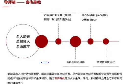 适合随行悟道的人群：如何选择合适的导师与实践方式