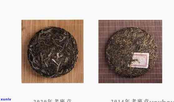 云南普洱茶小青柑：品种、特点、价格及品饮 *** 全面解析