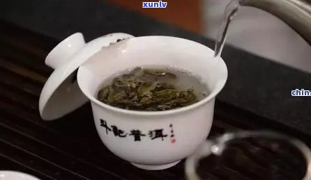 老班章茶的冲泡 *** 及适合使用的茶具全面解析