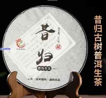 椰子水与普洱茶的联袂效应：全面解析其独特功效和作用