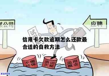 沈阳市信用卡申请、使用、积分兑换等全方位指南，解决您的信用卡相关问题