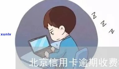 北京信用卡逾期费用详细解答：逾期后怎么收费？