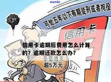 北京信用卡逾期费用详细解答：逾期后怎么收费？