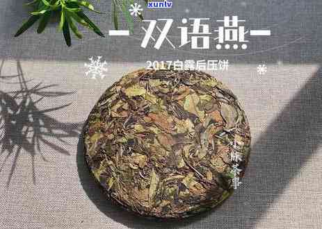 普洱熟茶是属于红茶吗，为什么和白茶有关系？