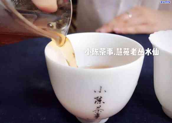 普洱熟茶的分类：揭秘普洱茶属于红茶还是绿茶