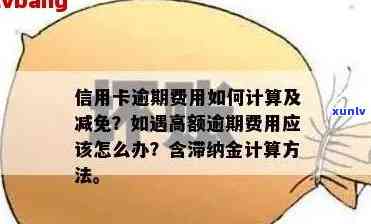 信用卡逾期利率：计算方式、更高限制及减免可能性详解