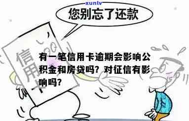 翡翠蝴蝶耳坠：款式选择、材质解析、搭配建议，一篇全面指南！