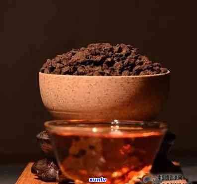 普洱茶与茶化石：两种珍贵茶叶的异同比较