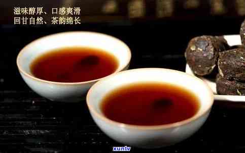 普洱茶中的小沱茶：究竟是熟茶还是生茶？让我们一探究竟！