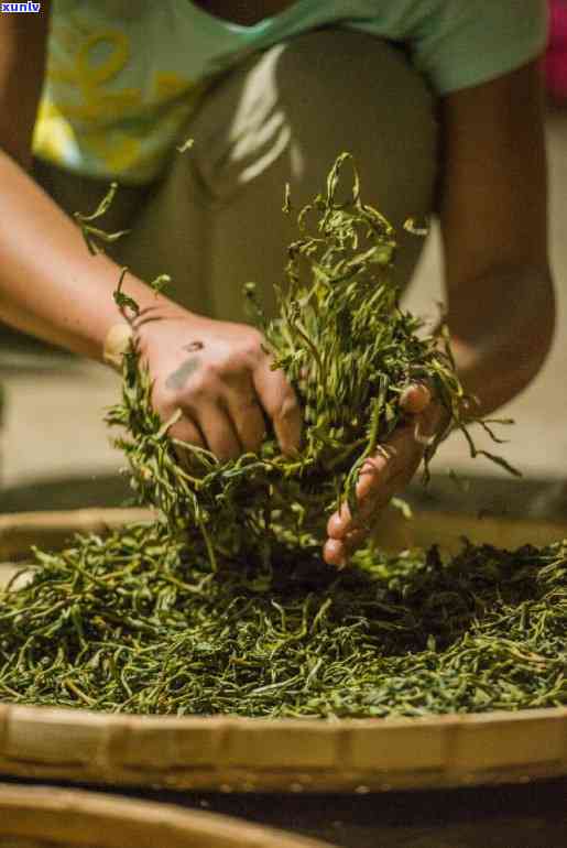 普洱茶熟茶的 ***  *** 、品种特点及其健益处详解