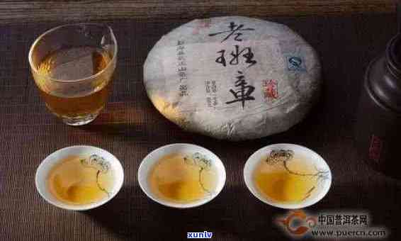 老班章茶饼泡法详解：如何正确冲泡以展现其风味