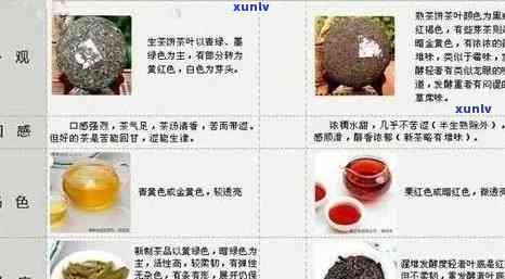 探索经典：2007年凤牌普洱F7813茶品鉴与品鉴指南