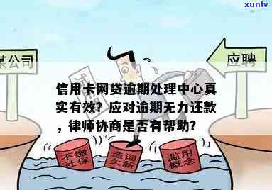 普洱茶与丑橘饮品比较：哪种更令人难忘？