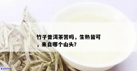 竹子普洱好不好